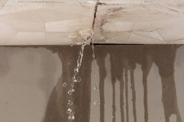 Professional Flood Damage Cleanup technician working in Holiday, FL